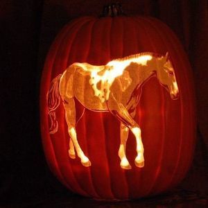 Meet your Posher, Shari-lyn